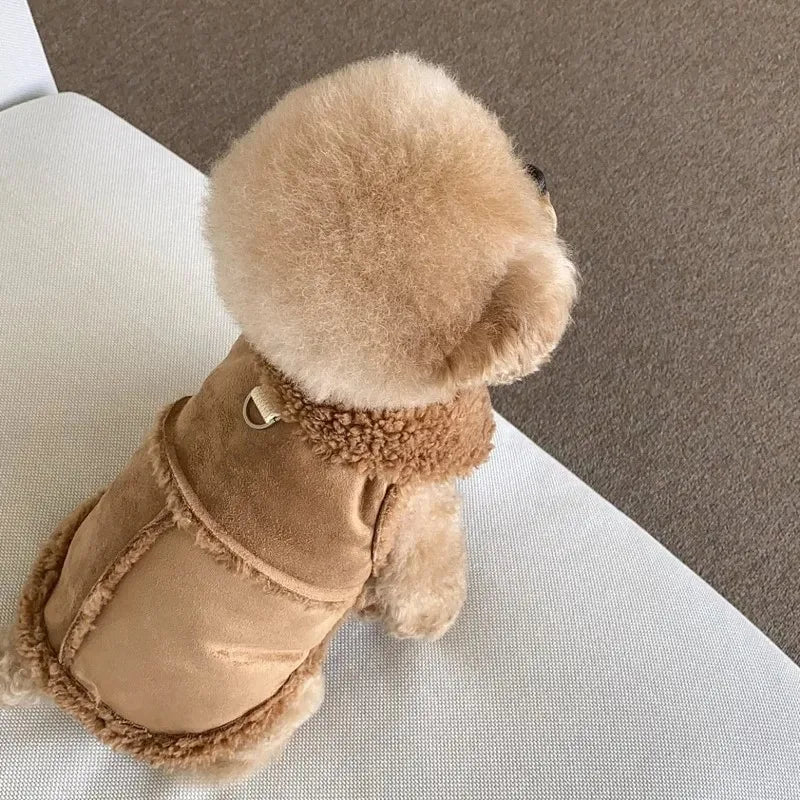 Small Dog Clothes – Pet Sweatshirts & Dresses for Chihuahua & Tiny Breeds