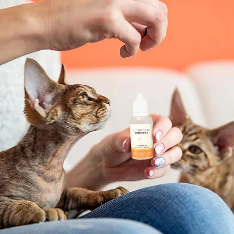 20ml Pet Hair Oil Essence – No-Rinse Skin & Coat Care for Dogs & Cats