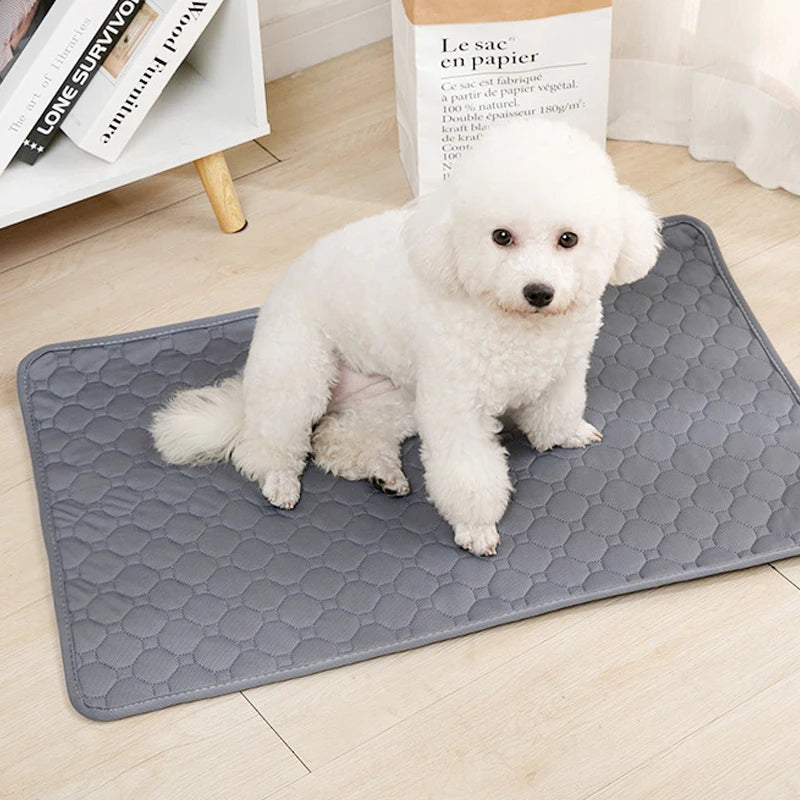 Reusable Pet Pee Pad – Washable Waterproof Dog Training Mat & Car Seat Cover