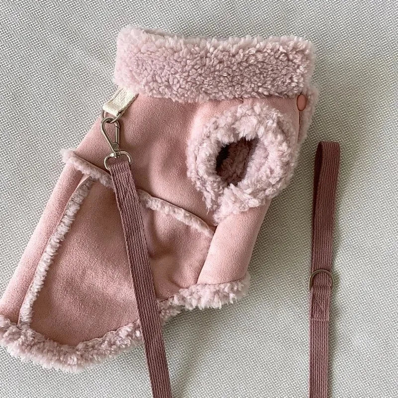 Small Dog Clothes – Pet Sweatshirts & Dresses for Chihuahua & Tiny Breeds