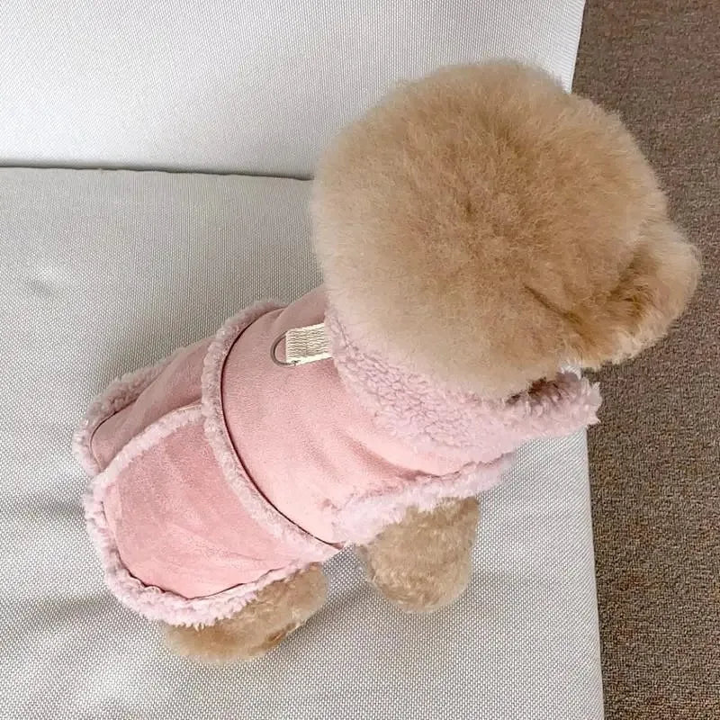 Small Dog Clothes – Pet Sweatshirts & Dresses for Chihuahua & Tiny Breeds